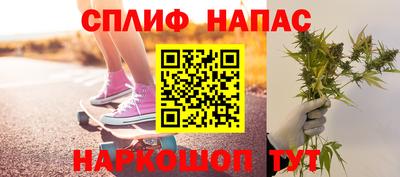 крисы Дубна