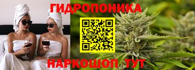 крисы Дубна