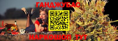 крисы Дубна
