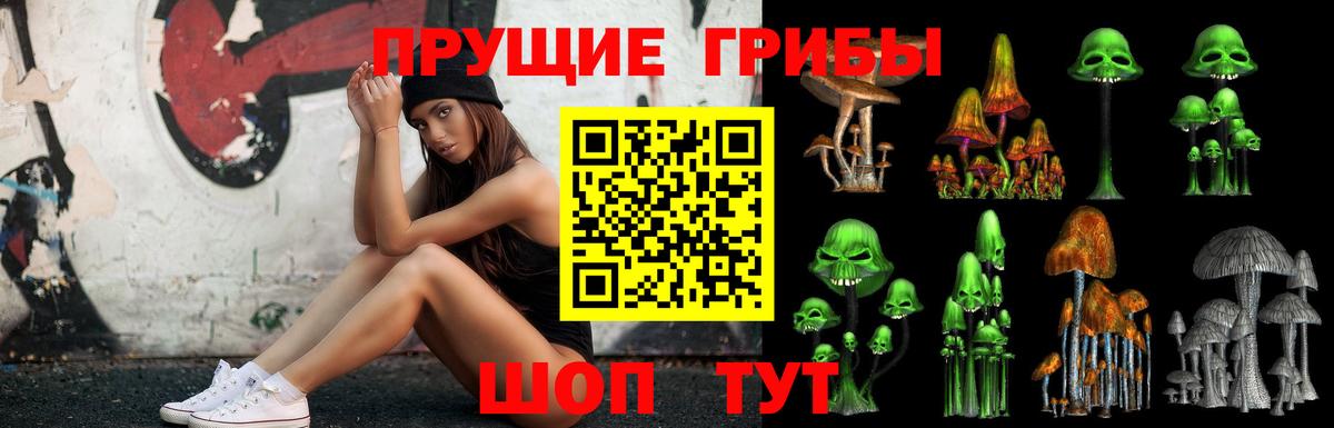 что такое наркотик  Вход с VPN  Морозовск  Галлюциногенные грибы ЛСД  Псилоцибиновые грибы MAGIC MUSHROOMS 